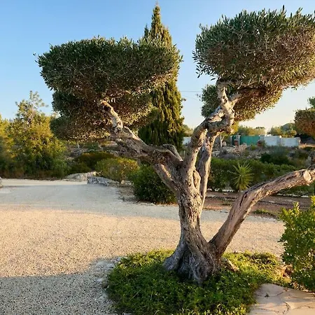 Semesterbostad Casa Nuria